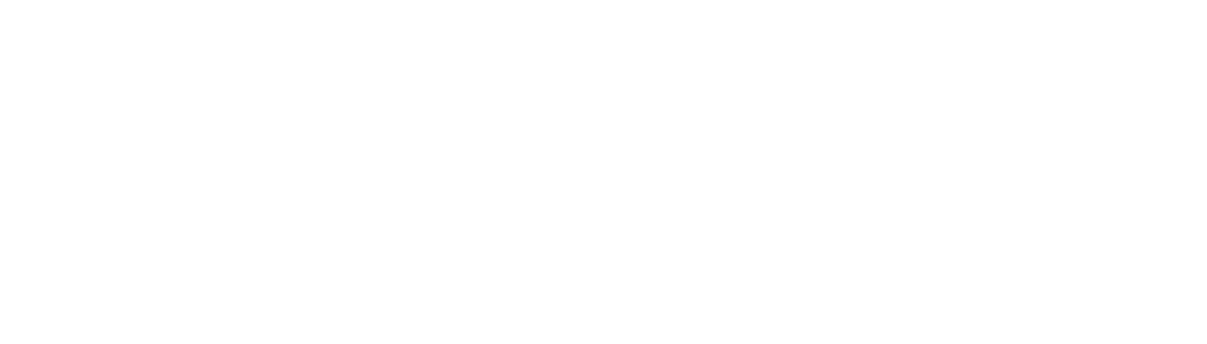Logo Octopus Data Solutions